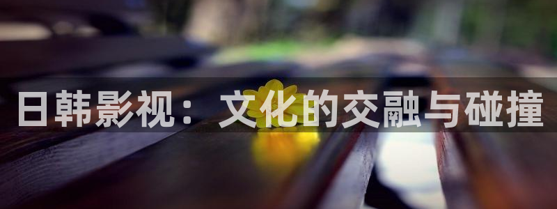 天龙影院樱花：日韩影视：文化的交融与碰撞