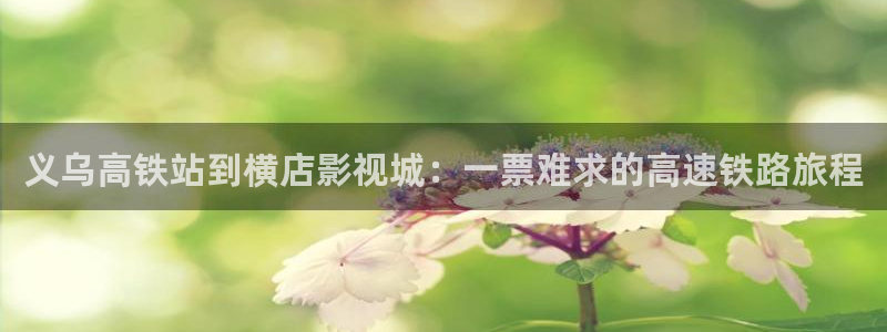 灵笼樱花在线：义乌高铁站到横店影视城：一票难求的高速铁路旅程