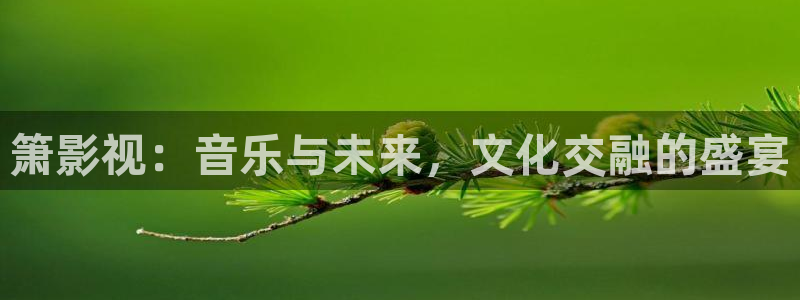 樱花花瓣飘落视频：箫影视：音乐与未来，文化交融的盛宴