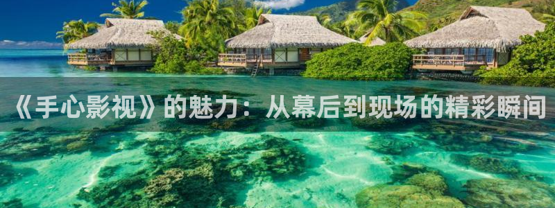 冰果动漫在线观看樱花动漫：《手心影视》的魅力：从幕后到现场的精彩瞬间