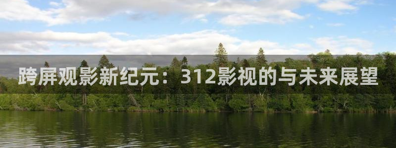 樱花动漫app在线看：跨屏观影新纪元：312影视的与未来展望