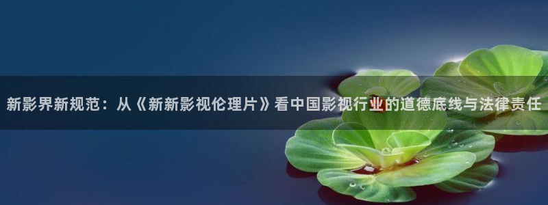 樱花校园视频剧情：新影界新规范：从《新新影视伦理片》看中国影视行业的道德底线与法律责任