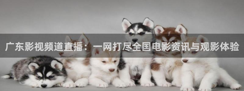 www.樱花视频.com：广东影视频道直播：一网打尽全国电影资讯与观影体验