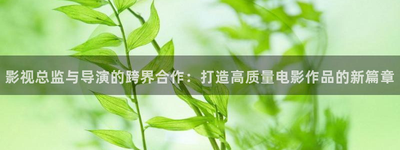 樱花窝窝影院电视剧免费观看：影视总监与导演的跨界合作：打造高质量电影作品的新篇章