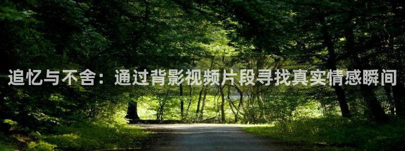 樱花图片：追忆与不舍：通过背影视频片段寻找真实情感瞬间