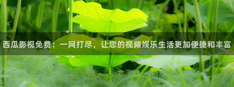 樱花动漫在线看动漫：西瓜影视免费：一网打尽，让您的视频娱乐生活更加便捷和丰富